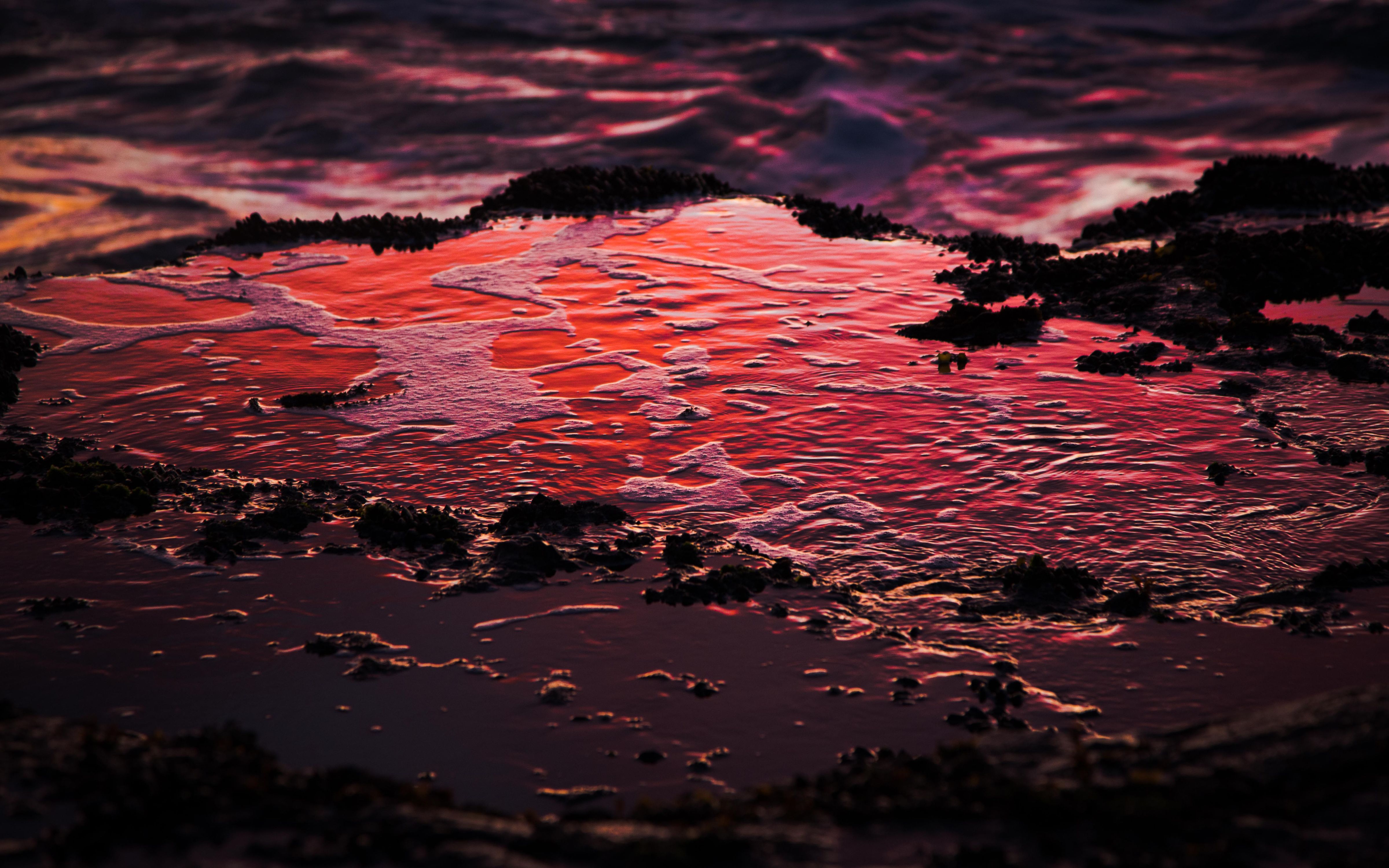 Light on the Dark Side9 (1 of 1).jpg