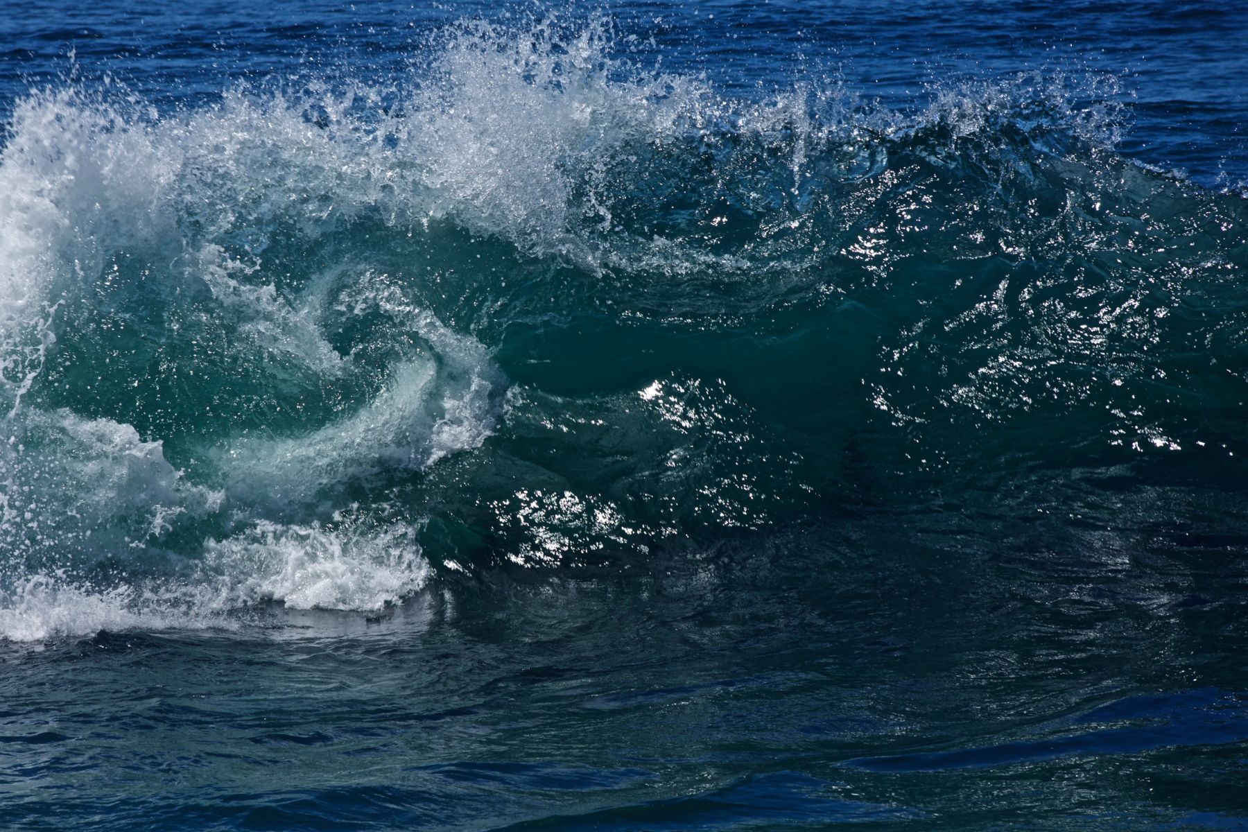 1temperamental7_1272