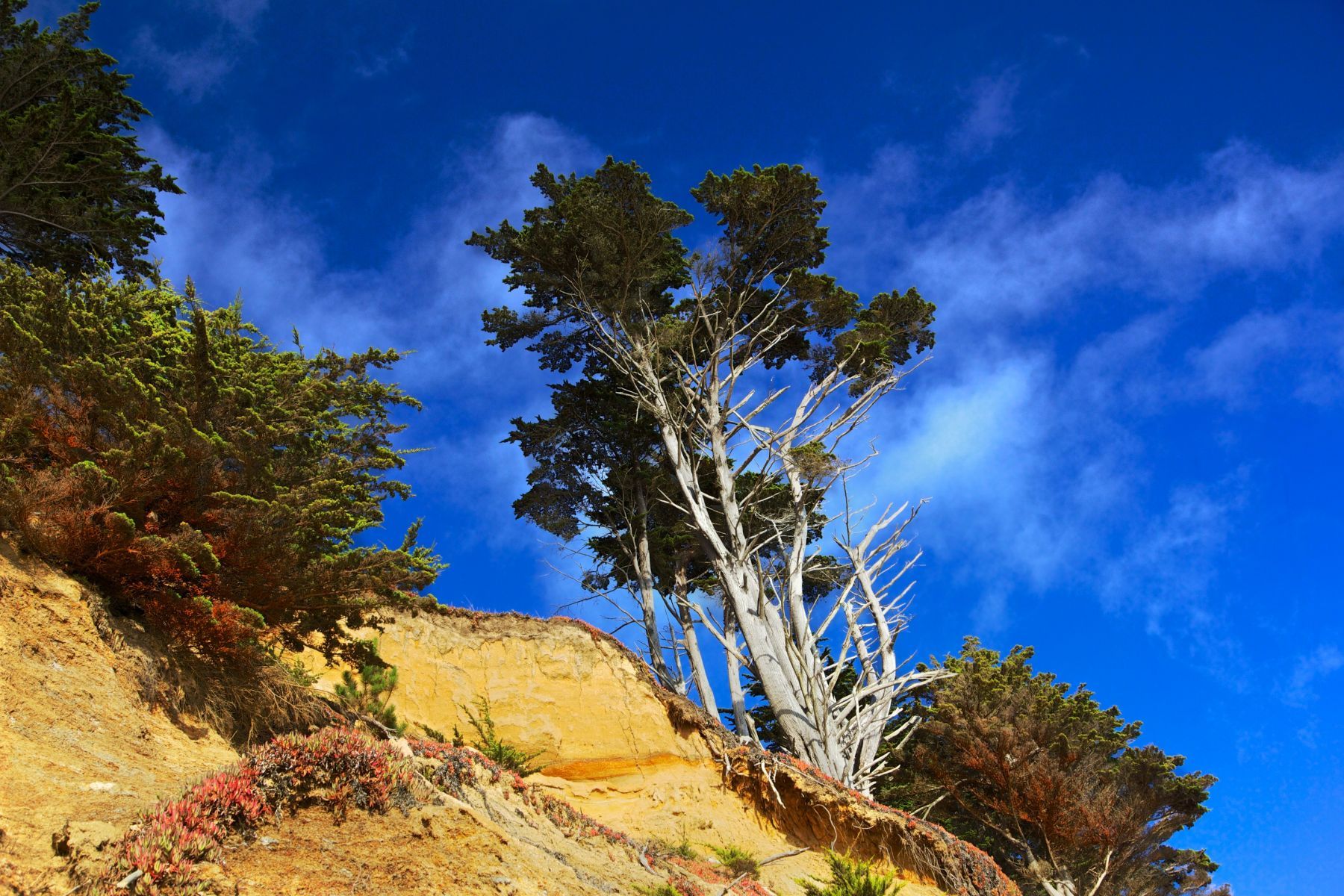 1life_on_the_coast_series13_1_1110