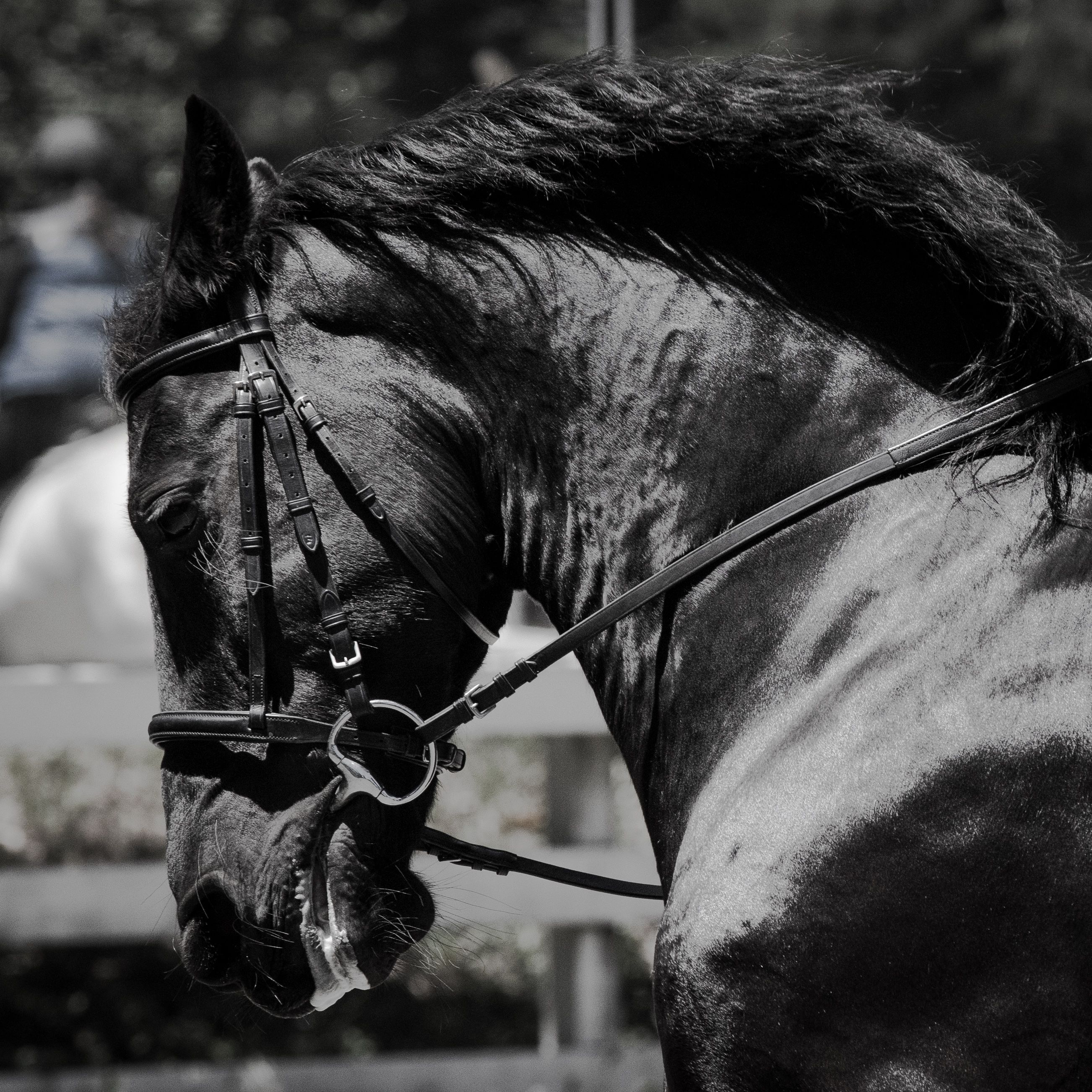 Wild Child14 (1 of 1).jpg