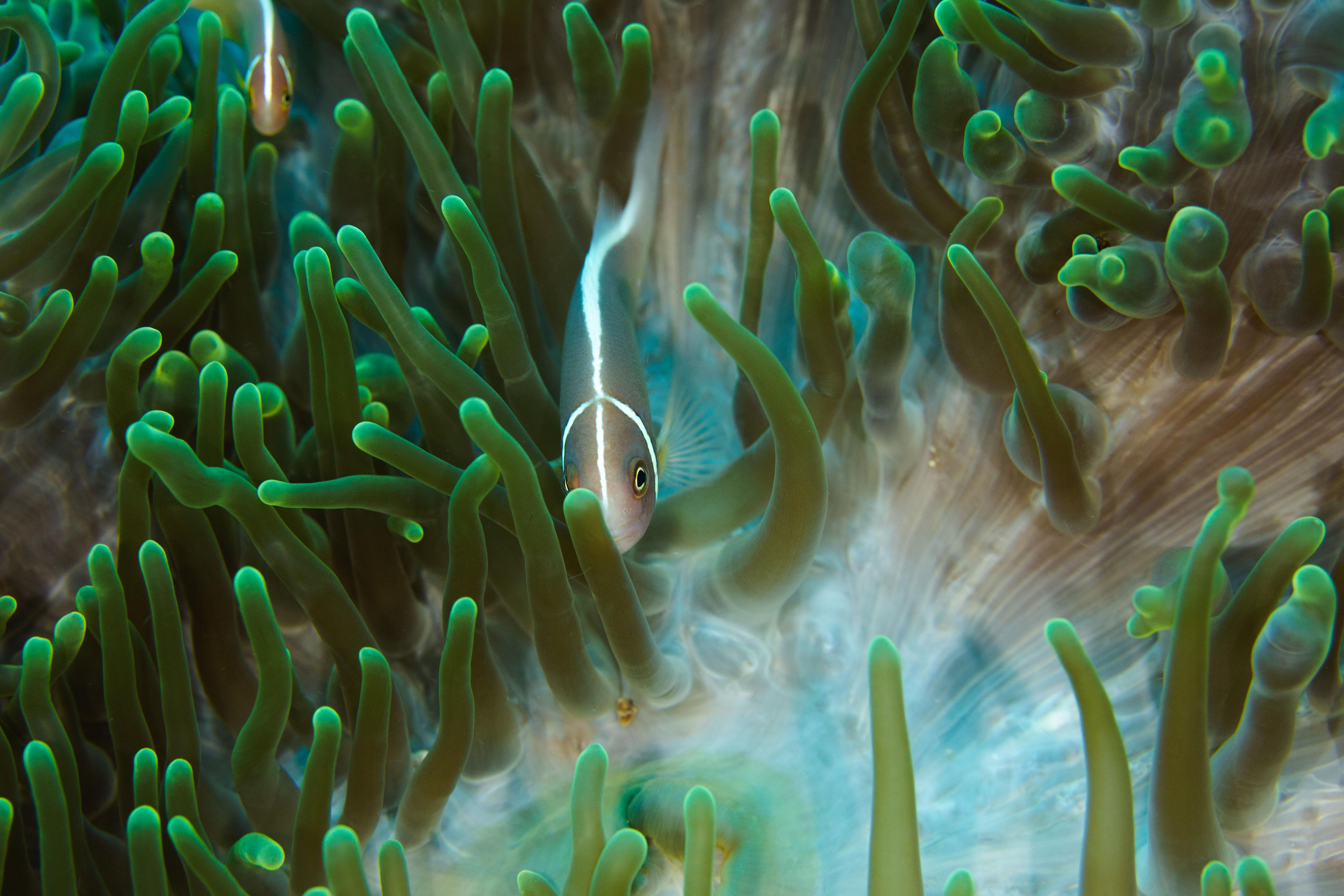 Curiosity12 (1 of 1).jpg