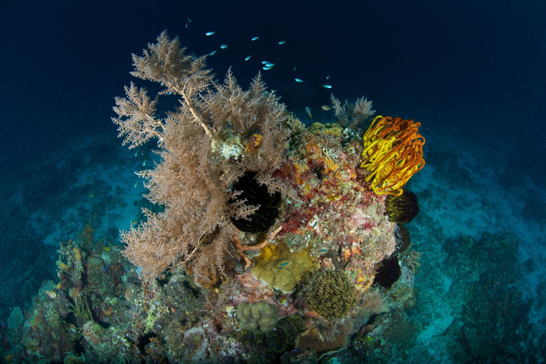 1scenes_from_below_series9_909