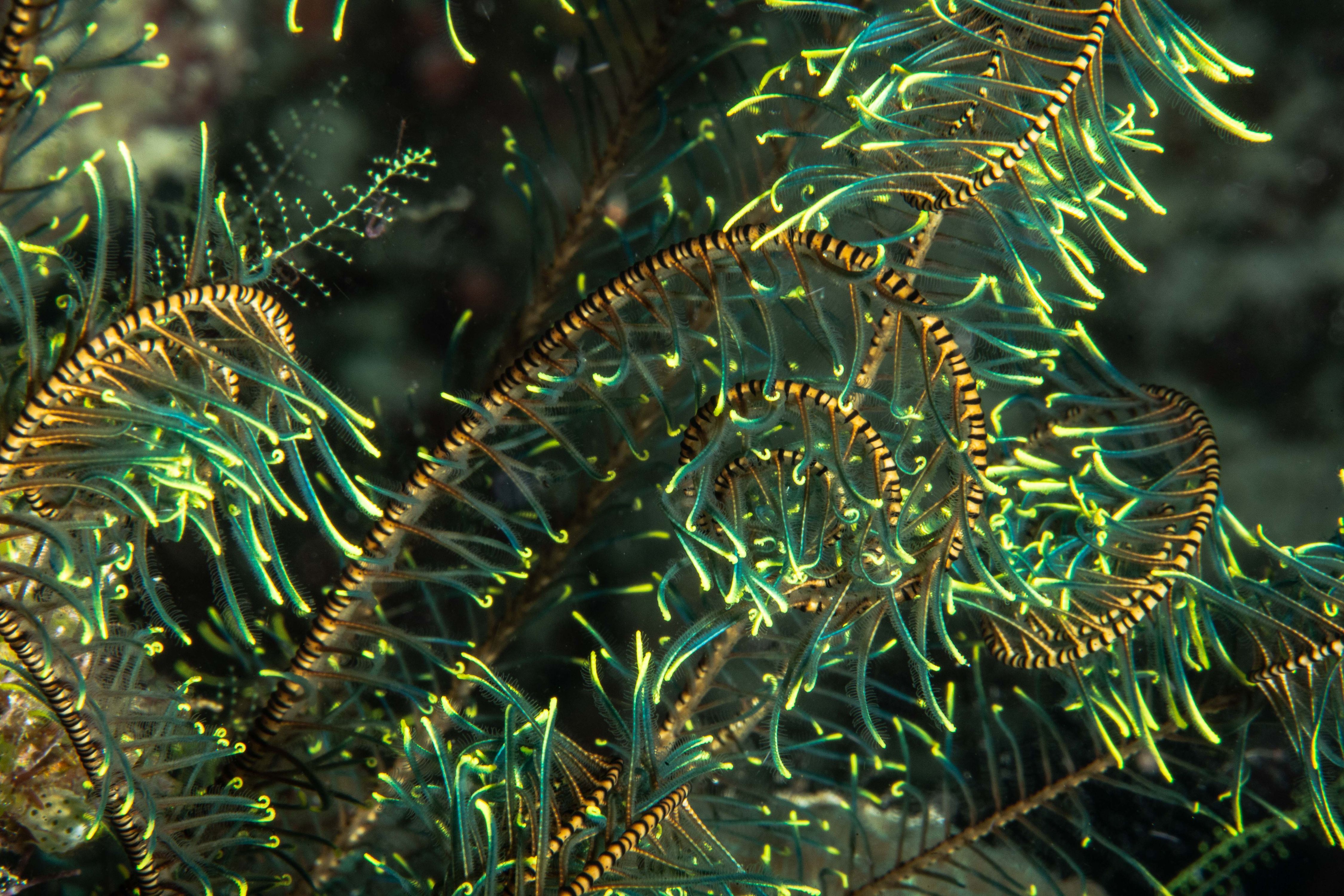 Secluded19 (1 of 1).jpg