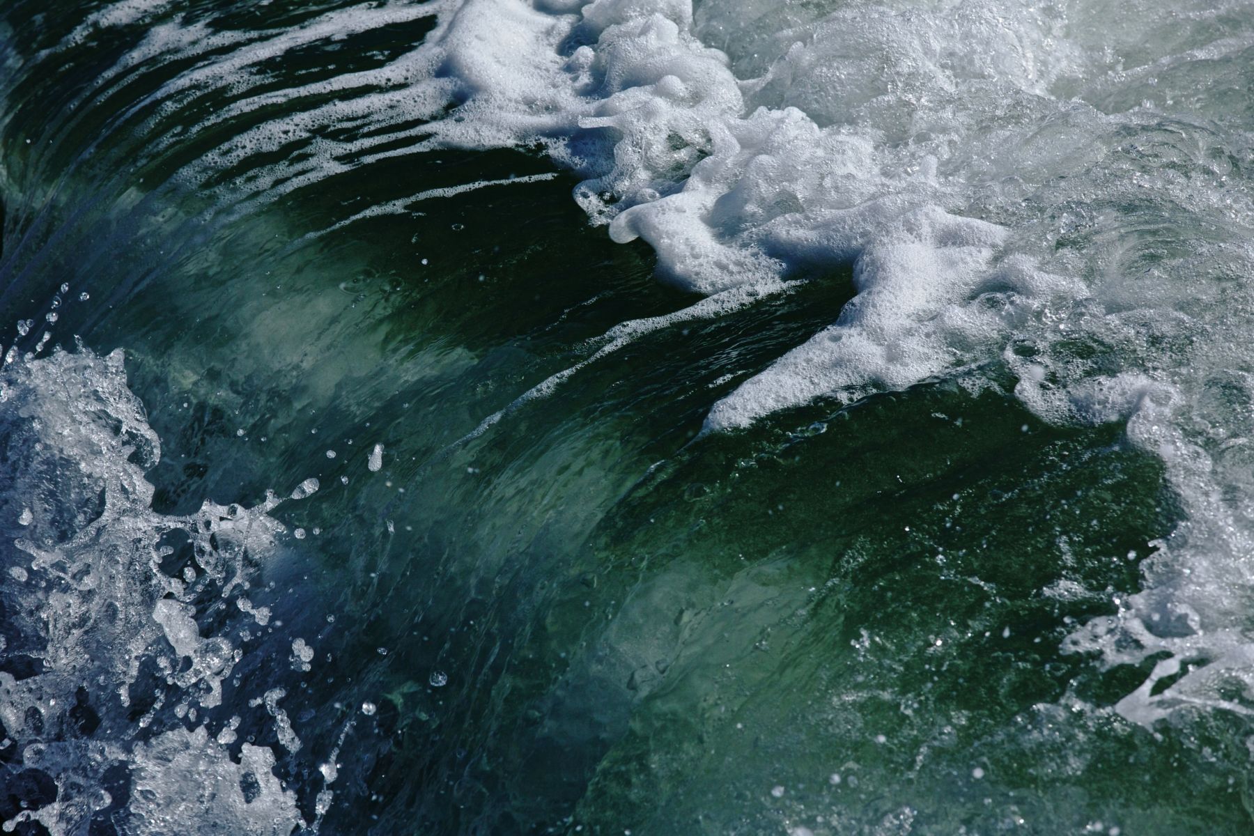 1temperamental8_1273