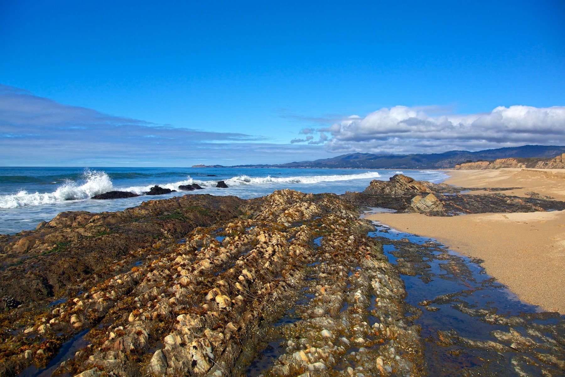 1coastal_impressions7_862