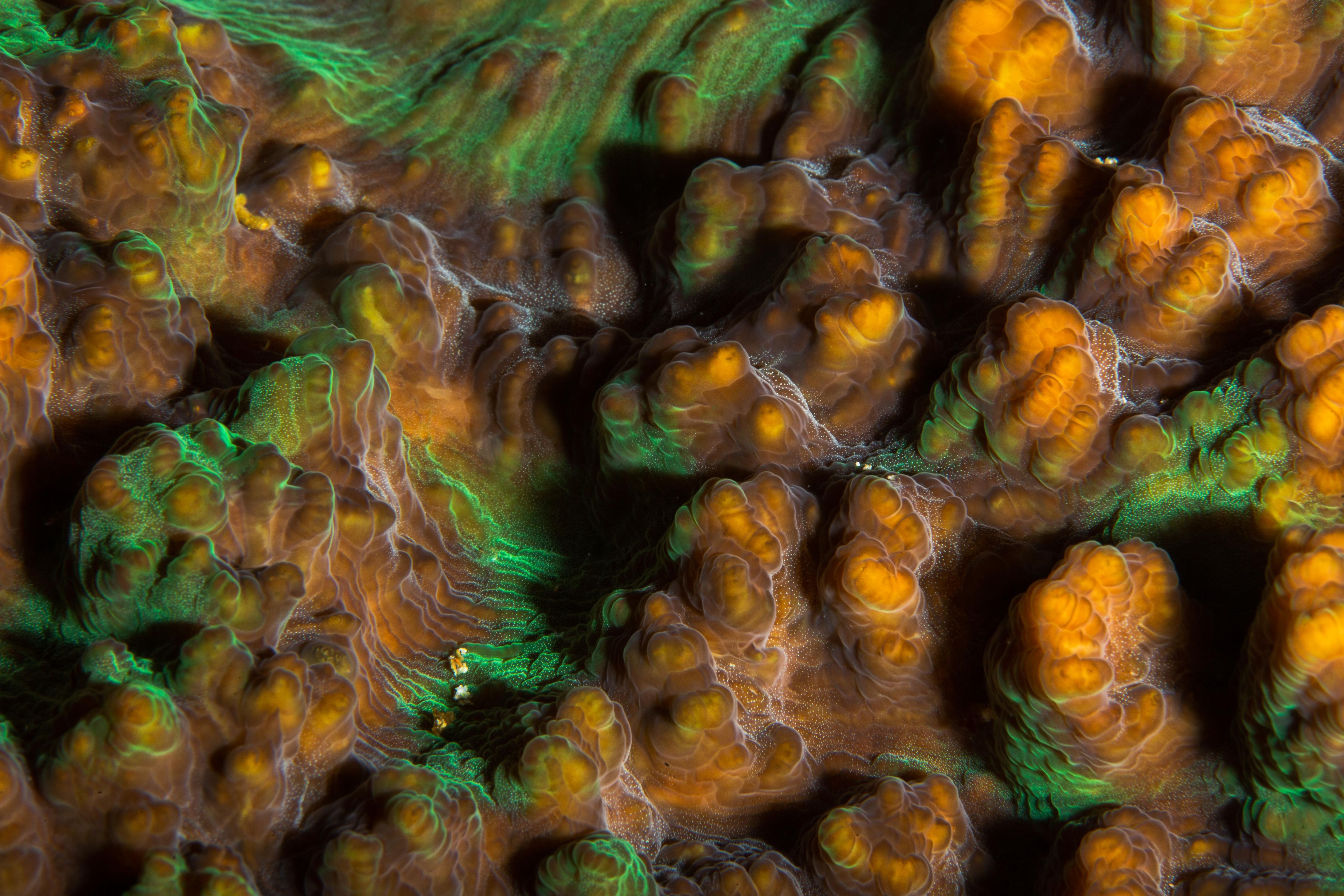 Secluded14 (1 of 1).jpg