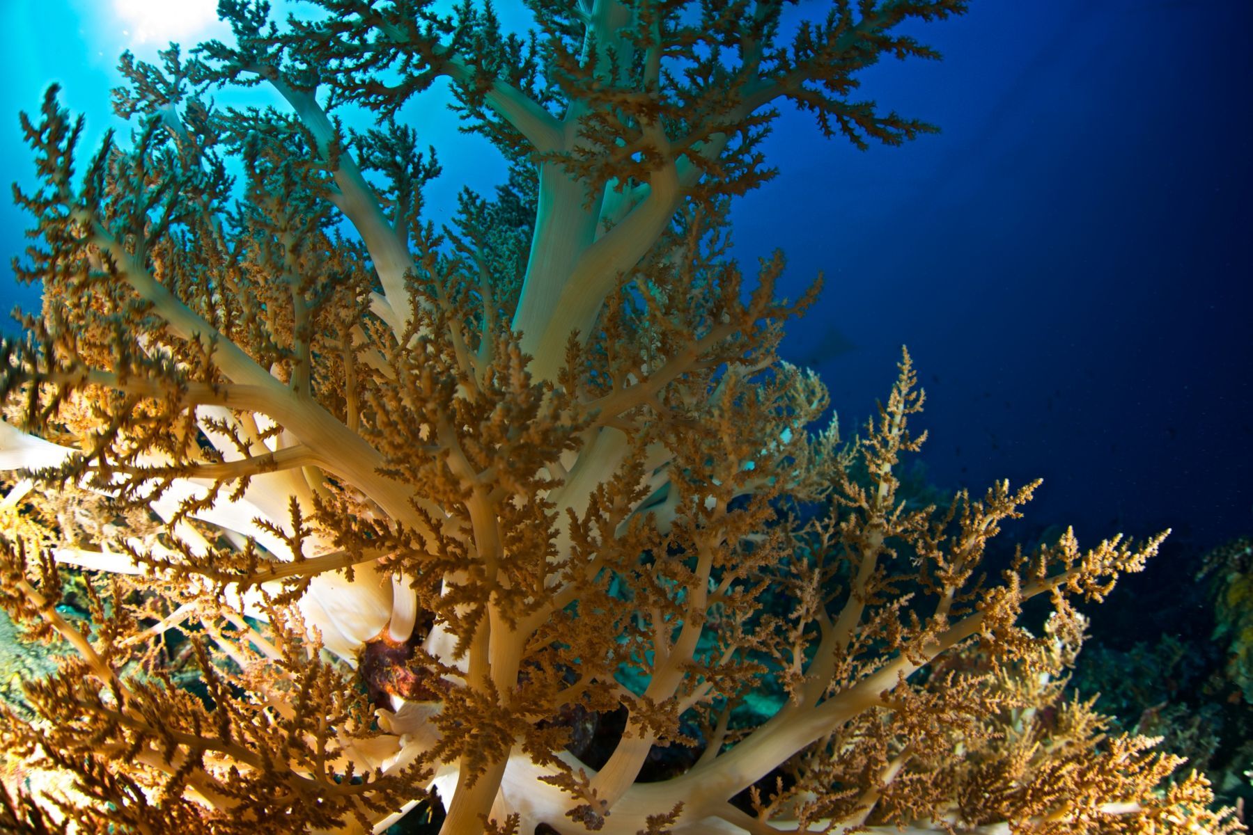 1scenes_from_below_series12_912