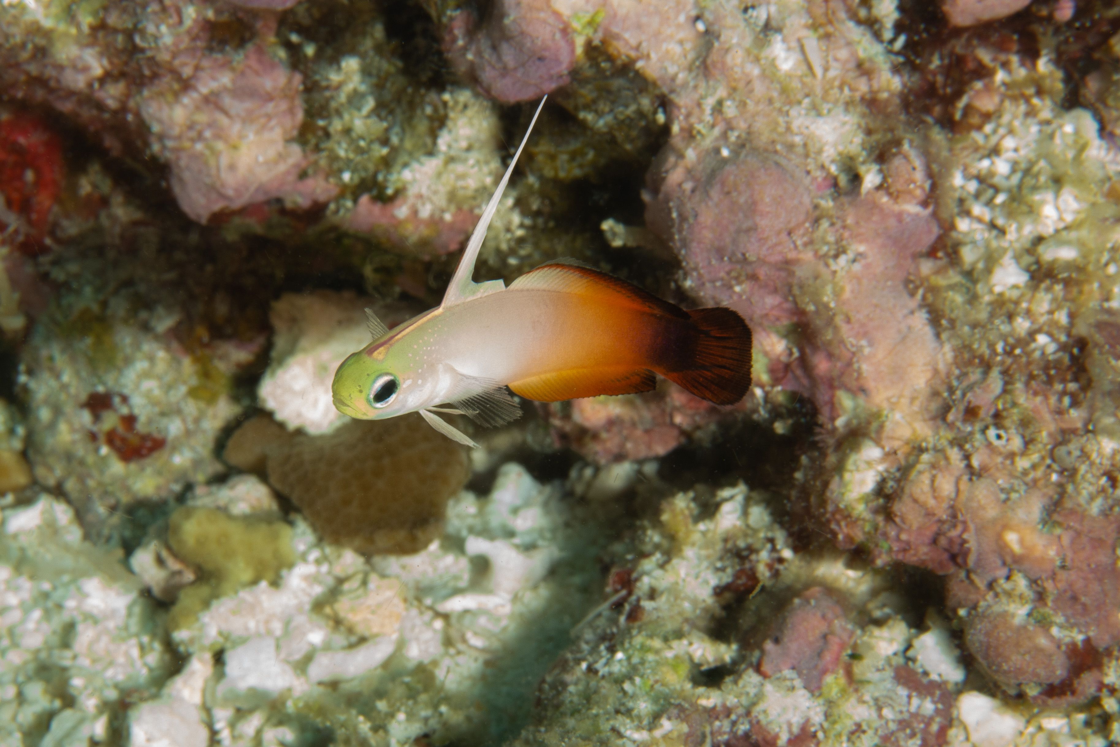 Curiosity11 (1 of 1).jpg