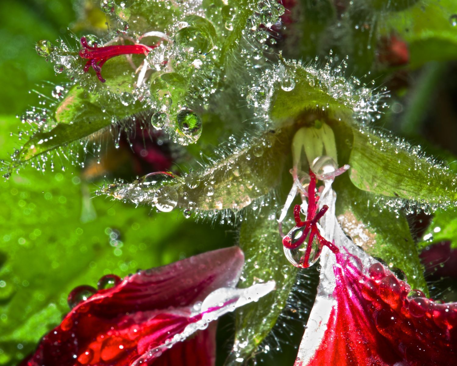 1in_the_abstract13_823