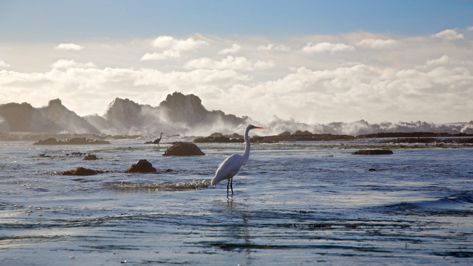 1view_from_ashore_series9_713