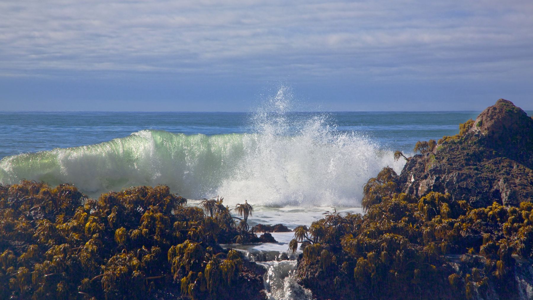 1view_from_ashore_series8_712