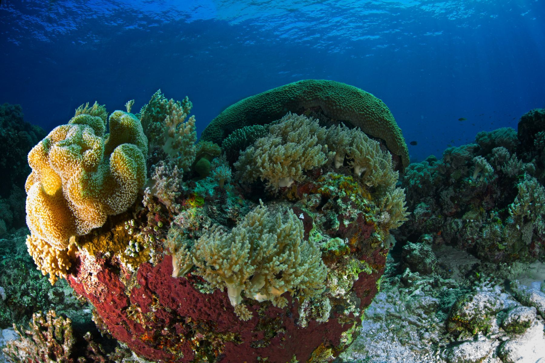 1scenes_from_below_series14_914