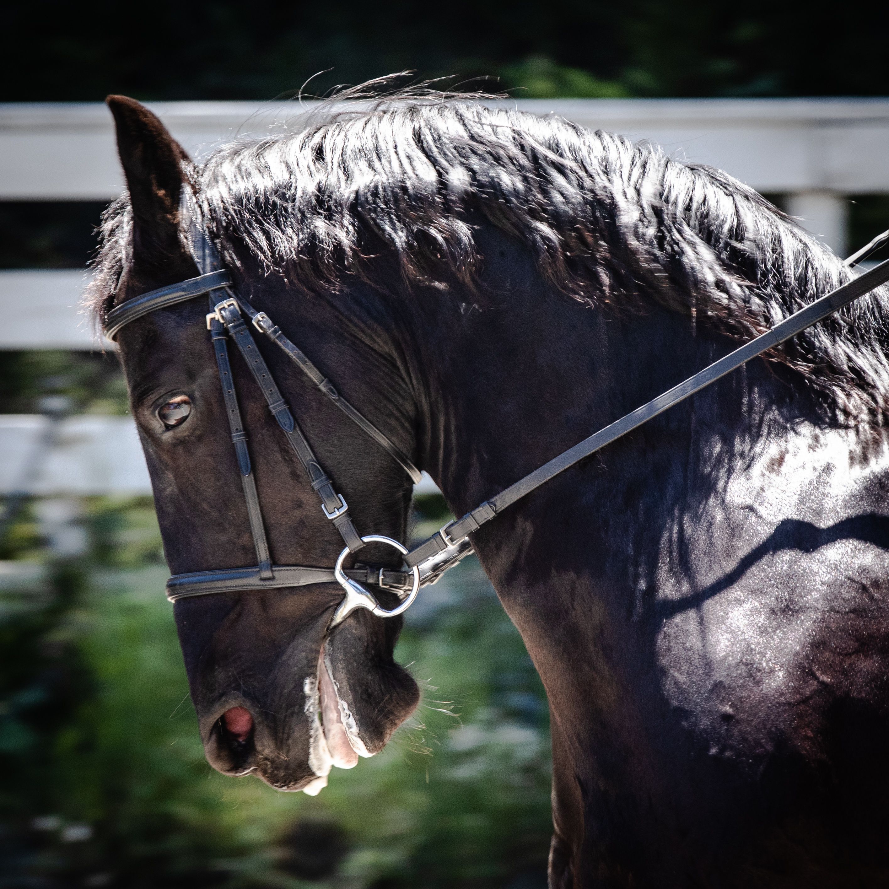 Wild Child12 (1 of 1).jpg