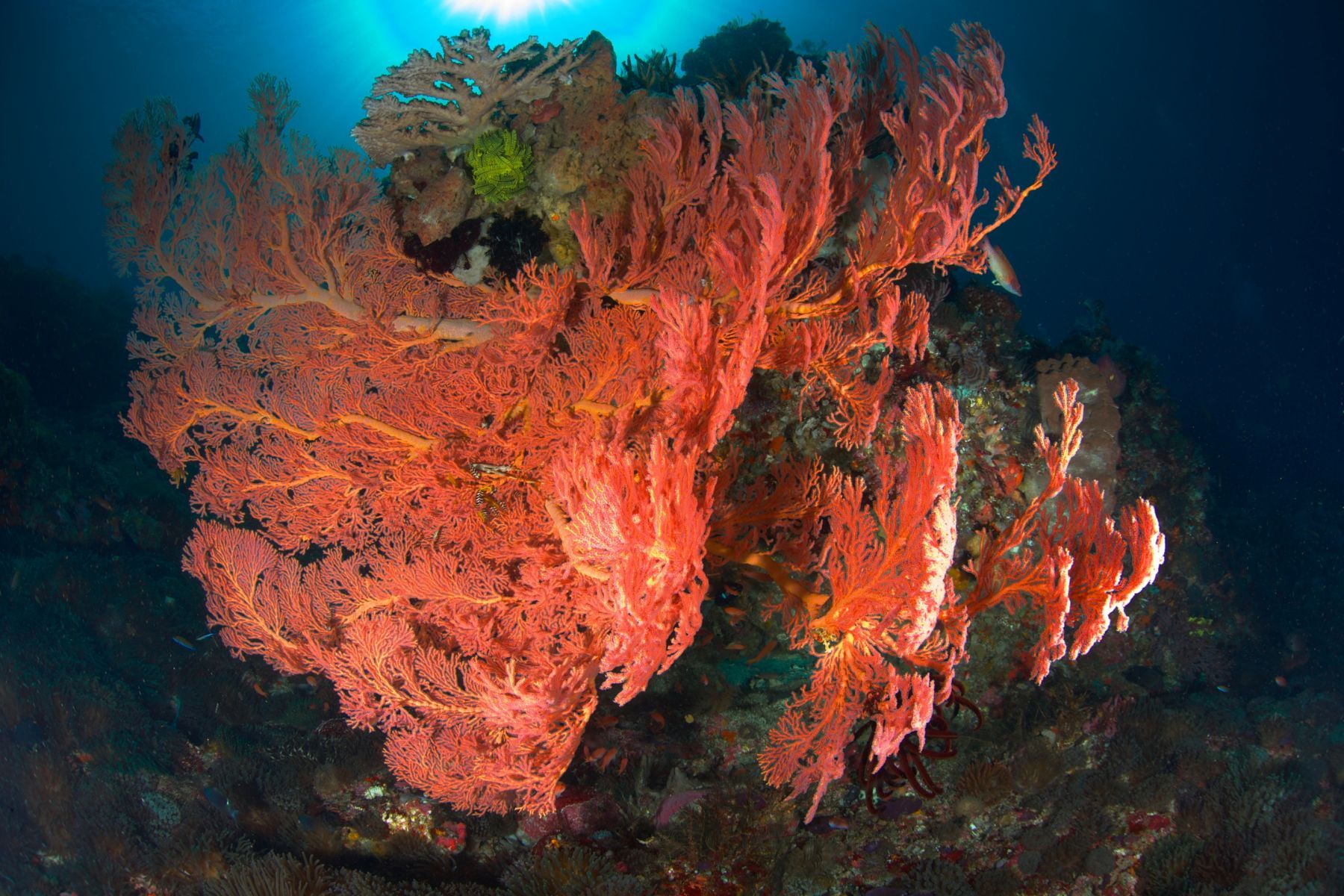 1scenes_from_below_series8_908