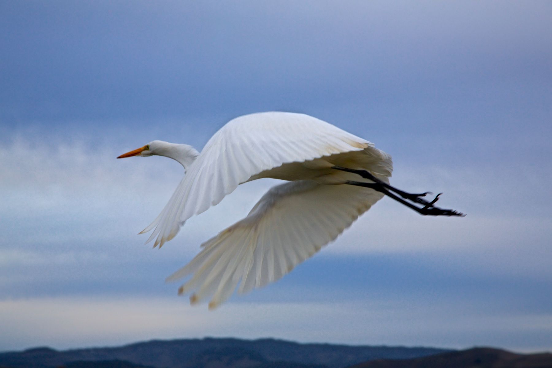 1life_on_the_coast_series10_1104