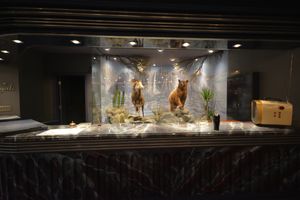 11- Reception (1).jpg