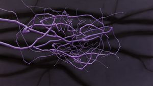 NERVE CENTER WEB.jpg
