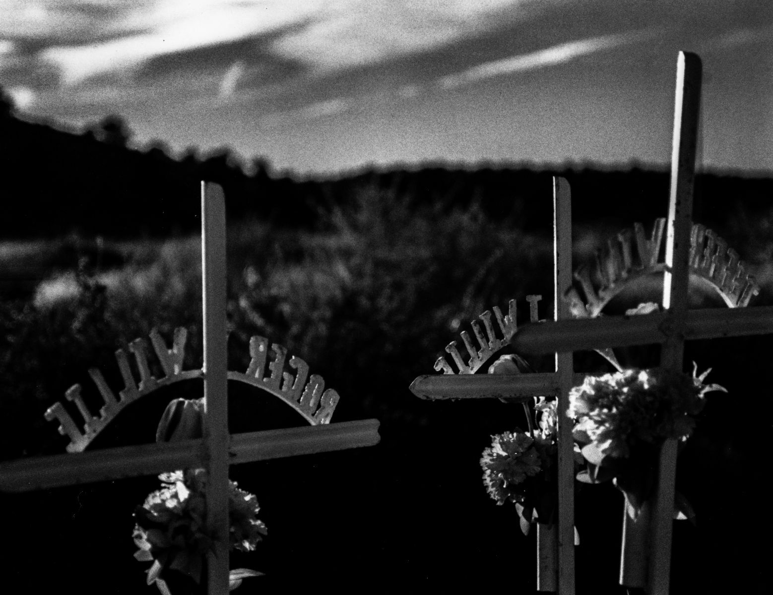 Mile Post 453 Portfolio - 2014