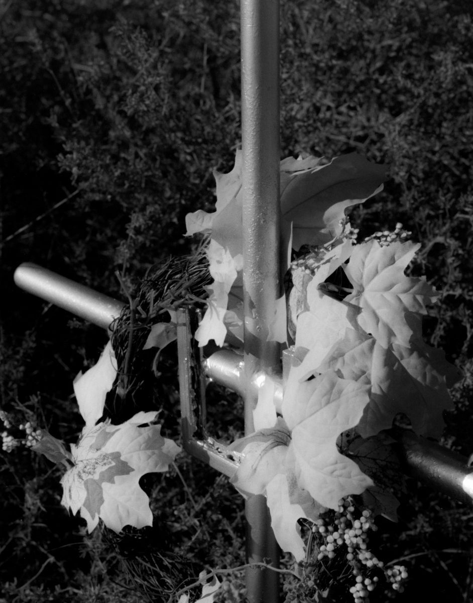 Mile Post 453 Portfolio - 2014