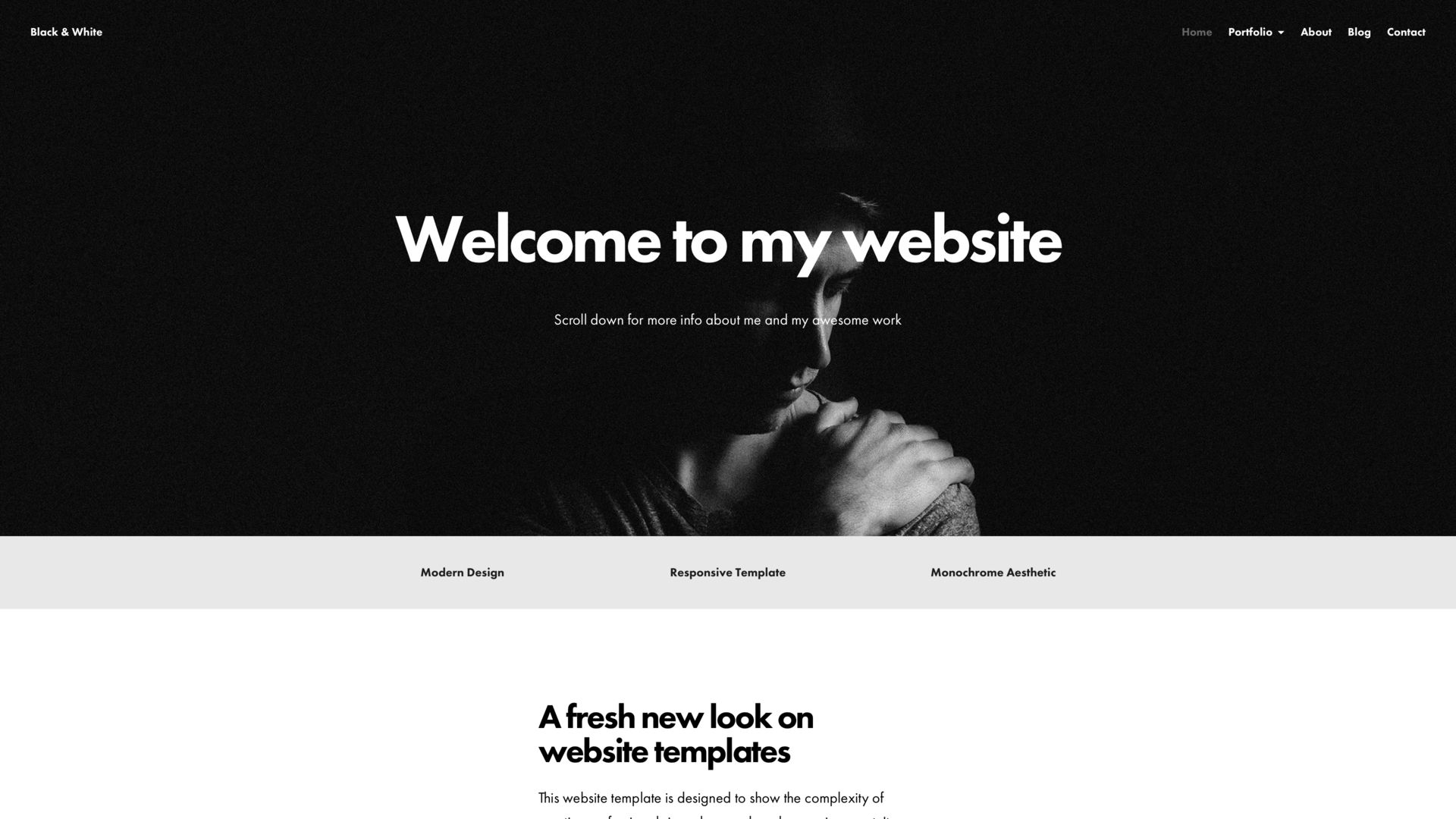 Black and White Portfolio Website Template liveBooks