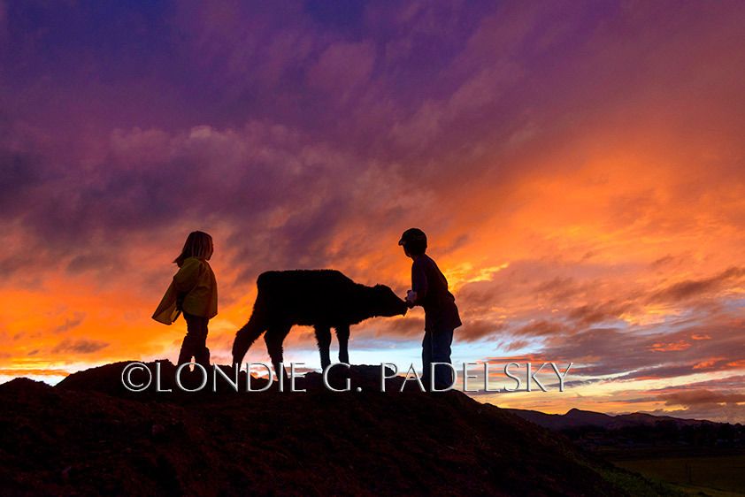 SLO_1301_3LG8203_LondieGPadelsky