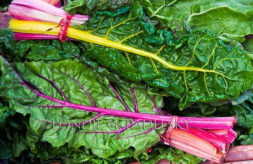 Fresh picked red chard, Central Coast of California                      ©Londie G. Padelsky FV_0554_LondieGPadelsky