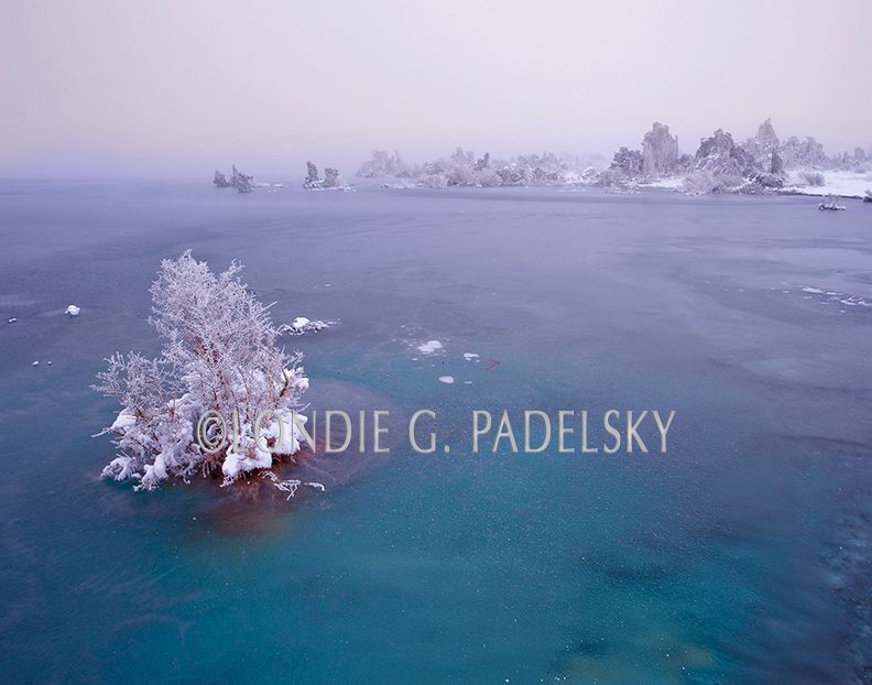 Freezing at Mono Lake, Eastern Sierra, CA MML-644_LondieGPadelsky.jpg
