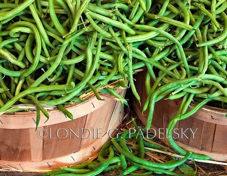 Fresh picked green beans in basket containers.        ©Londie G. Padelsky QLP_0390_LondieGPadelsky