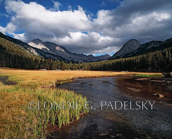 McClure Meadow, Kings Canyon National Park, California ©Londie Garcia Padelsky ES-3892_LondieGPadelsky