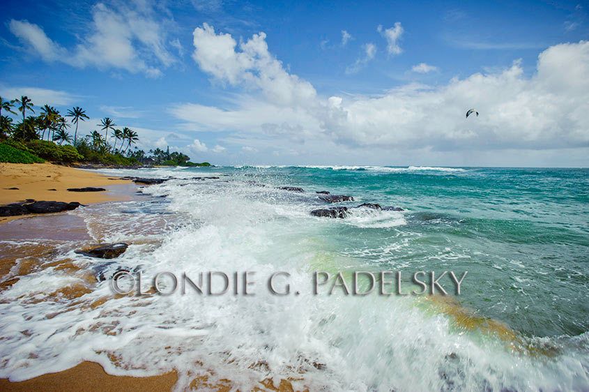 HAK1010_LGP8782_LondieGPadelsky