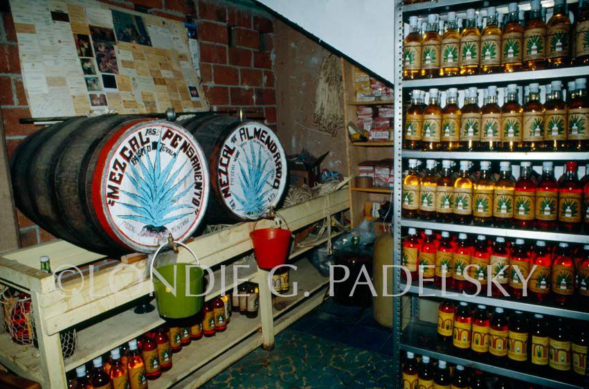 Tequilla Room. Oaxaca, Mexico