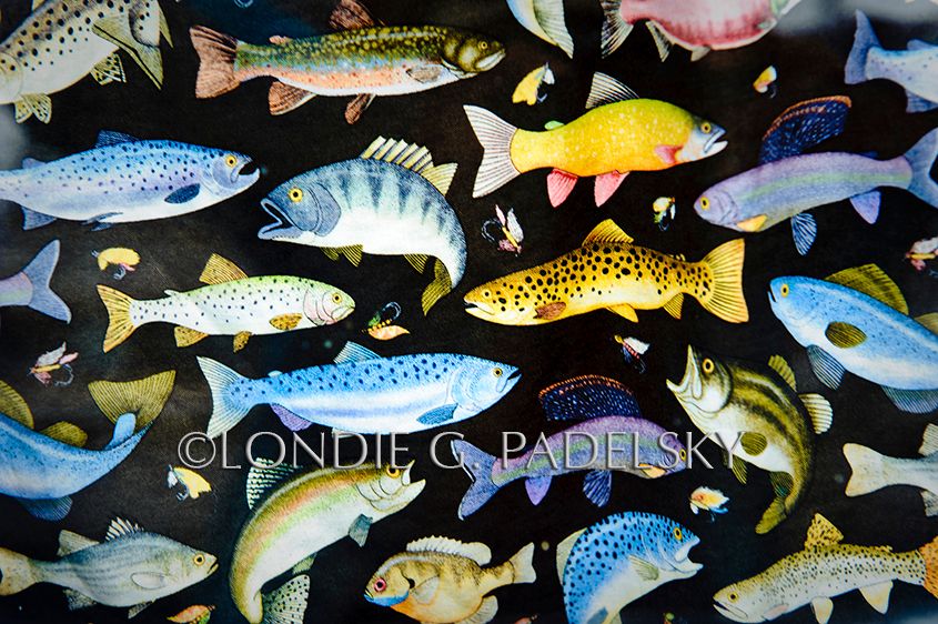 fish, curtain, fishing, fabric, material Fabric with fish