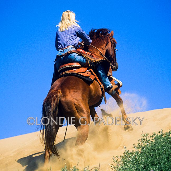 cowgirl, cowgirls, riding horseback, galloping, riding, sand dunes Cowgirl galloping
