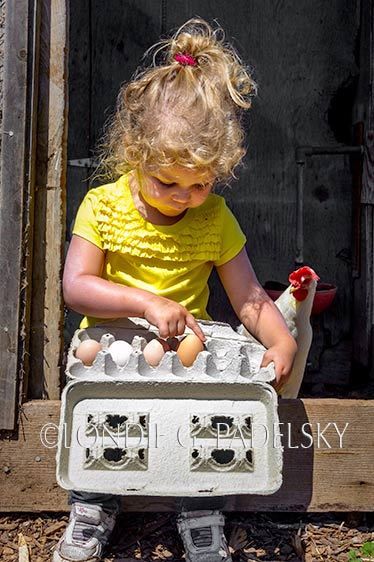 SLO-LGP9772_LondieGPadelsky