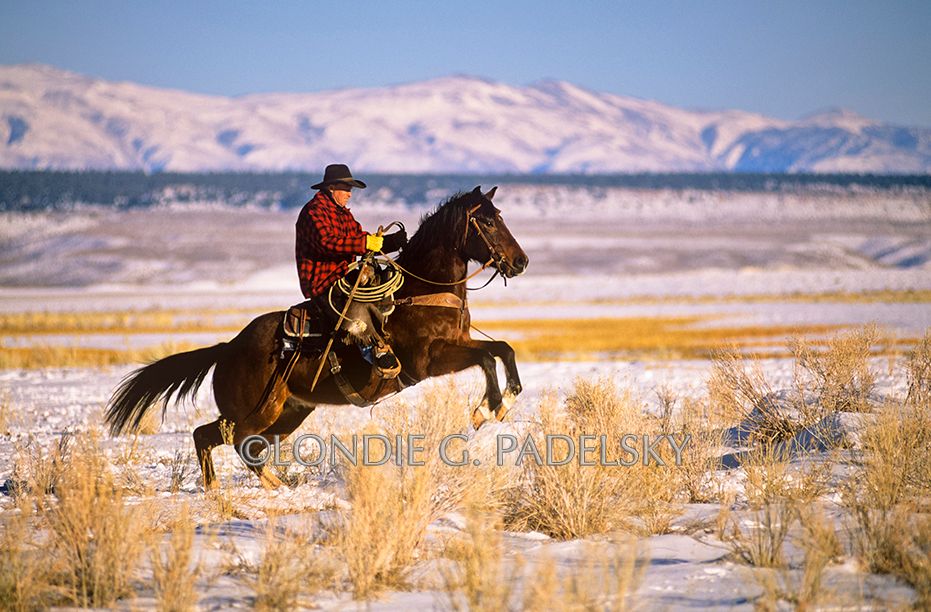 Cowboy riding horseback across a snow field in the Eastern Sierra, California ©Londie G. Padelsky ES35-2323_LondiePadelsky