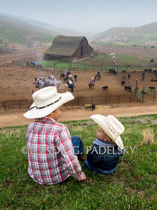 Little cowboys watch a cattle branding from on top of a hill. In the California Valley.                              ©Londie G. Padelsky RDUPC1501v_390_LondieGPadelsky