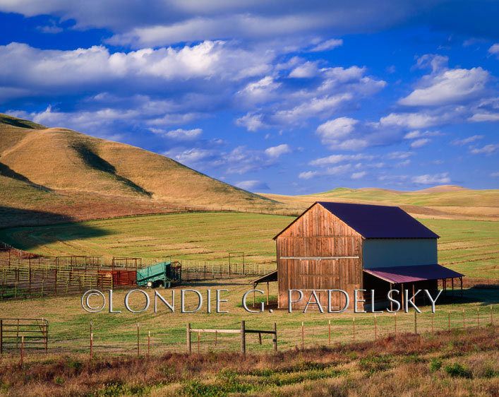 Barn and hayfields, San Luis Obispo County, California   ©Londie G. Padelsky  CA_0828_LondiegPadelsky