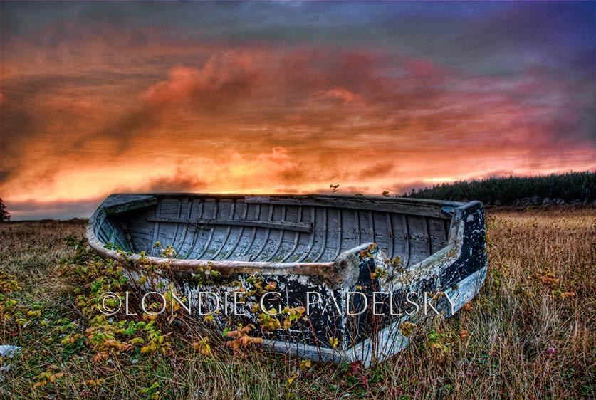 QLP2204_LondieGPadelsky