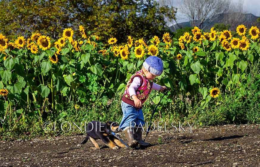 SLO_LGP7304_LondieGPadelsky