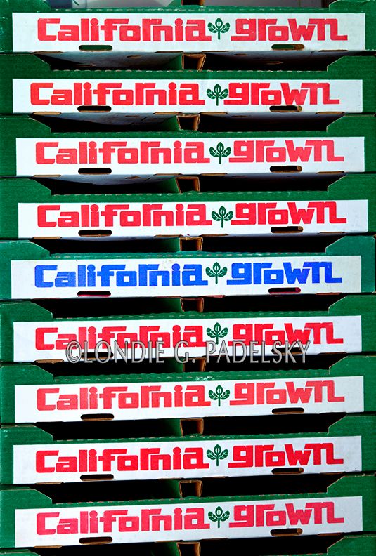 Vegetable boxes labeled California grown.                 ©Londie G. Padelsky 1110_LGP3030_LondieGPadelsky