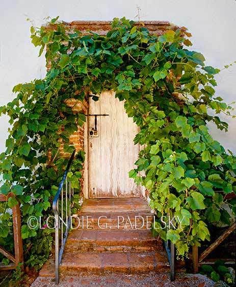Original door with 'River of Life' design, Historic California Missions ©Londie G. Padelsky CCM-1164_LondieGPadelsky