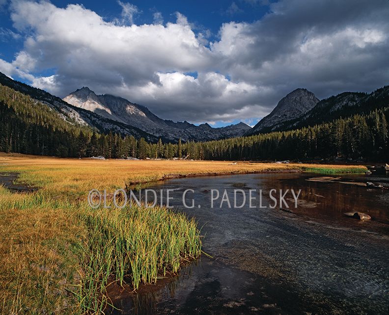 Evolution Valley, Kings Canyon National Park, CA ES-3892B_LondieGPadelsky.jpg