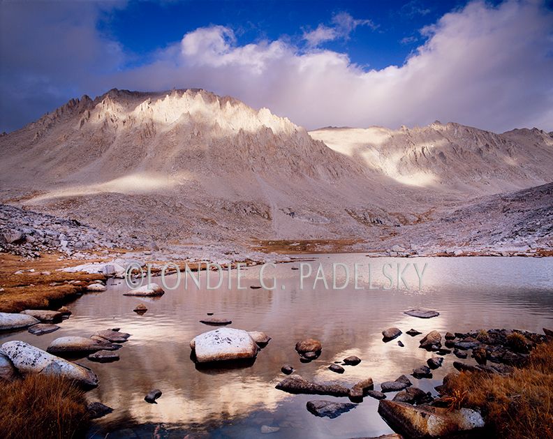 JMTM-99_Londie_G_Padelsky copy.jpg