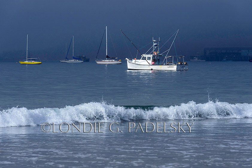 SLO_4LG5519_LondieGPadelsky