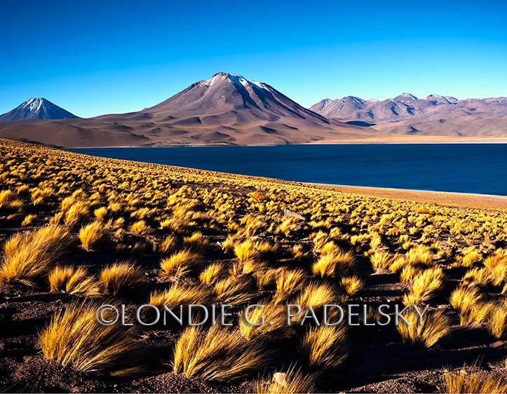 Volcanos in the Atacama Desert, northern Chile, South America     ©Londie G. Padelsky 11SA_001_LondieGPadelsky