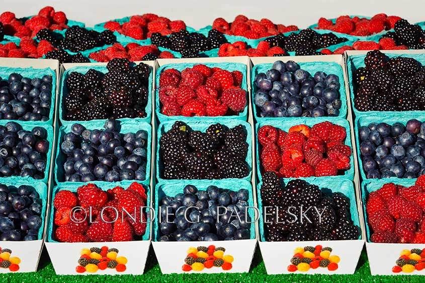 Fresh picked blueberries, raspberries, and blackberries.   ©Londie G. Padelsky SLO_LGP7854_LondieGPadelsky
