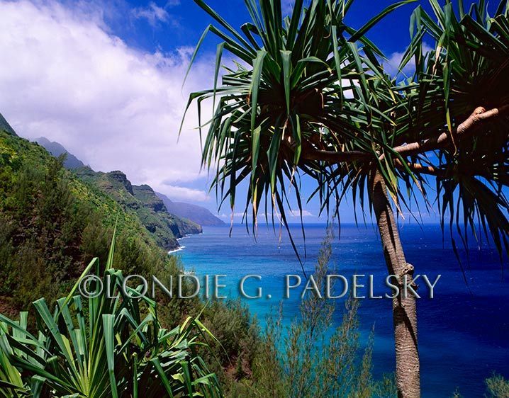 Tropical Islands/ Paradise/Beaches/ Hawaii