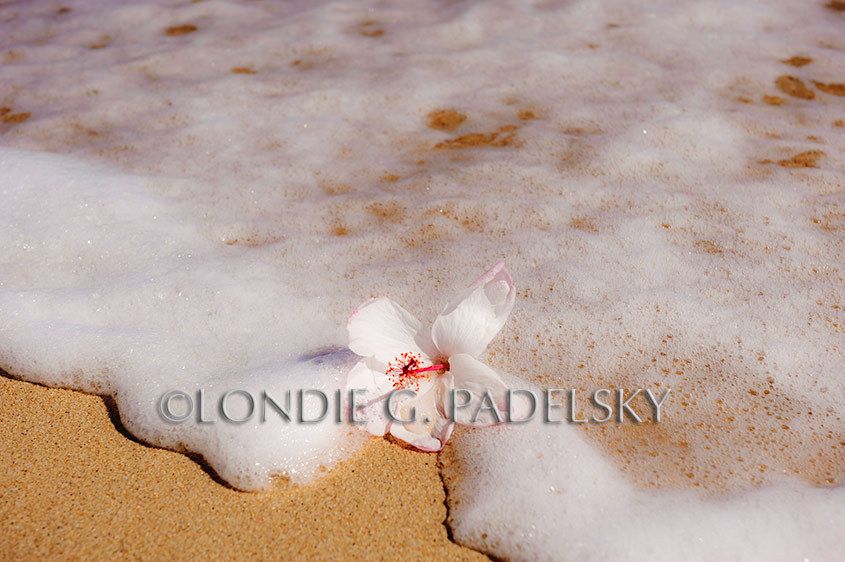 HAK1010_LGP7167_LondieGPadelsky