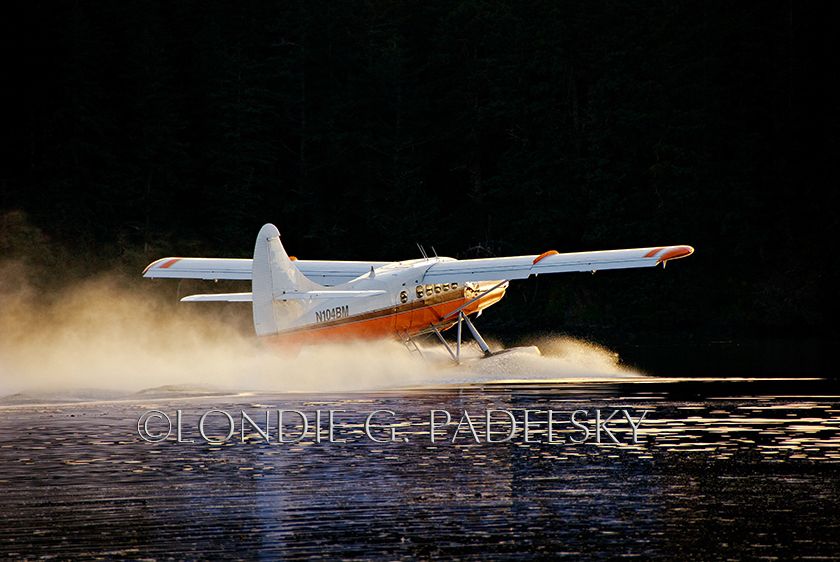 airplane, plane, landing, night time, travle, water travel, floatplane ALSD_4729_LondieGPadelsky.jpg