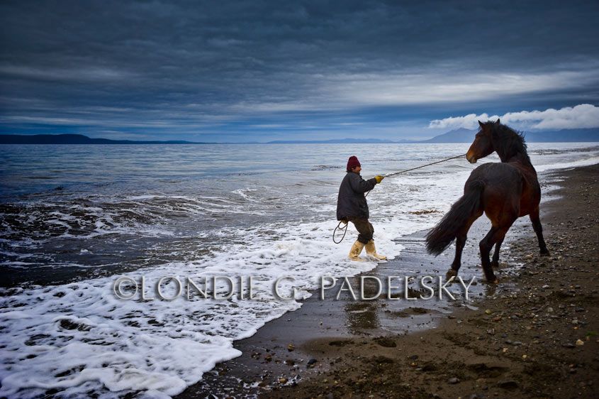 Fisherman grasping horse on the beach, Strait of Magellan, Southernmost tip of Chile, South America                             ©Londie G. Padelsky SAMER-05402_LondieGPadelsky